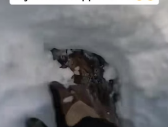 P3004017_Je sauve un renard sous la  glace… et ce qu’il m’a  révélé après est incroyable  �� PART 2