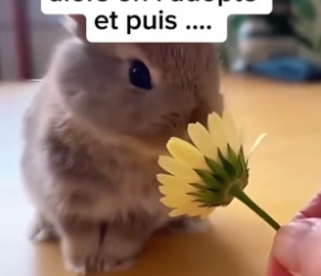 P3004005_Regarde ce. Qu’il se passe à la fin �� PARTIE 2