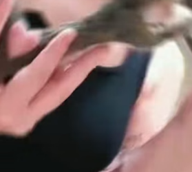 P3004003_Ce corbeau veut dévorer ce petit animal alors j’interviens ❤️� PARTIE 2