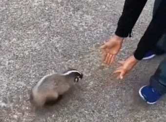 Ce bébé m’a choisi comme sa  famille… la suite m’a retourné �❤️Part 2