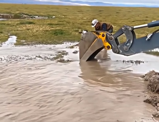 N0106011_this poor horse was already beyond hope of being rescued, but these people helped him. ❤️� PART 2