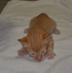 S0206004_I was taking out the trash when I found this…❤️�� Comments for PART 2