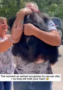 S0206012_The moment an animal recognizes its rescuer after so long will melt your heart ��� PART 2