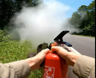 S0206014_Rescuing a Blue Jay Family from a Venomous Snake � PART 2