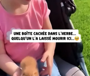 P0406010_Ma fille découvre un chaton  abandonné en plein parc… � PART 2