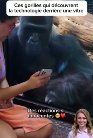 P0706004_Les animaux sont si purs et innocent �❤️❤️ PARTIE 2