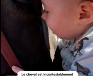 P0706006_Les animaux sont plein d’amour �❤️ regarde la fin … �️❤️ PARTIE 2