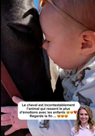 P0706006_Les animaux sont plein d’amour �❤️ regarde la fin … �️❤️ PARTIE 2