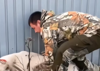 N0708005_this old dog was abandoned in the worst situation, but this man saved him. � PART 2