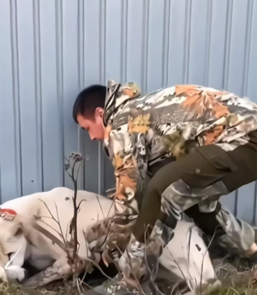 N0708005_this old dog was abandoned in the worst situation, but this man saved him. � PART 2