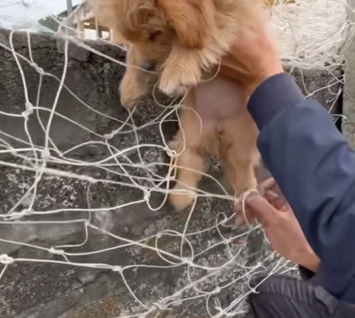 T0406002_Every rescued life contributes to a better future Part 2