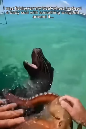 S0706013_I was just fishing, then this happened… FULL VIDEO