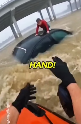 T1006001_�POV_ Dog Rescue Gone Wrong… I almost didn’t make it out PART 2
