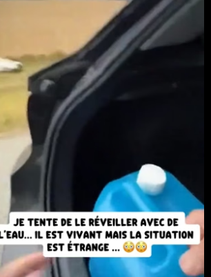 P1206008_Je découvre un cheval blanc inerte au bord de la route… quelque chose de grave s’est produit �� PARTIE 2