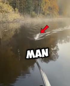 N1506008_This scared otter climbed on his boat for help ❤️ PART 2