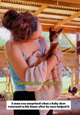 F1506006_After helping a baby deer, he never expected what came next PART 2