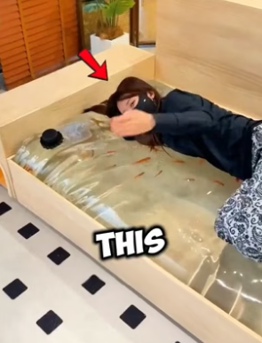 N1506010_This girl built a water bed just for her cat ❤️ PART 2