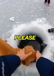 T0106002_Trapped under the ice with Puppy.. still can’t believe I Survived! �❄️ FULL VIDEO