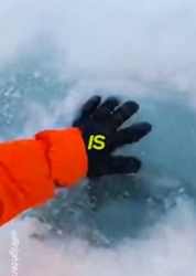 T0106003_Proof That Animals Have Souls✨�‍❄️ FULL VIDEO