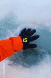 T0106003_Proof That Animals Have Souls✨�❄️ FULL VIDEO