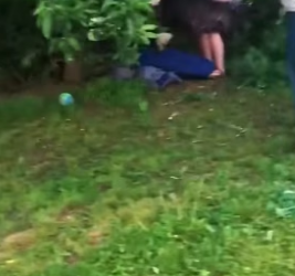 F0207008_This kind woman rescued an injured eagle and then (Full video)